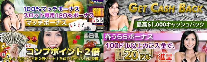 ワイルドジャングルカジノキャンペーン画像